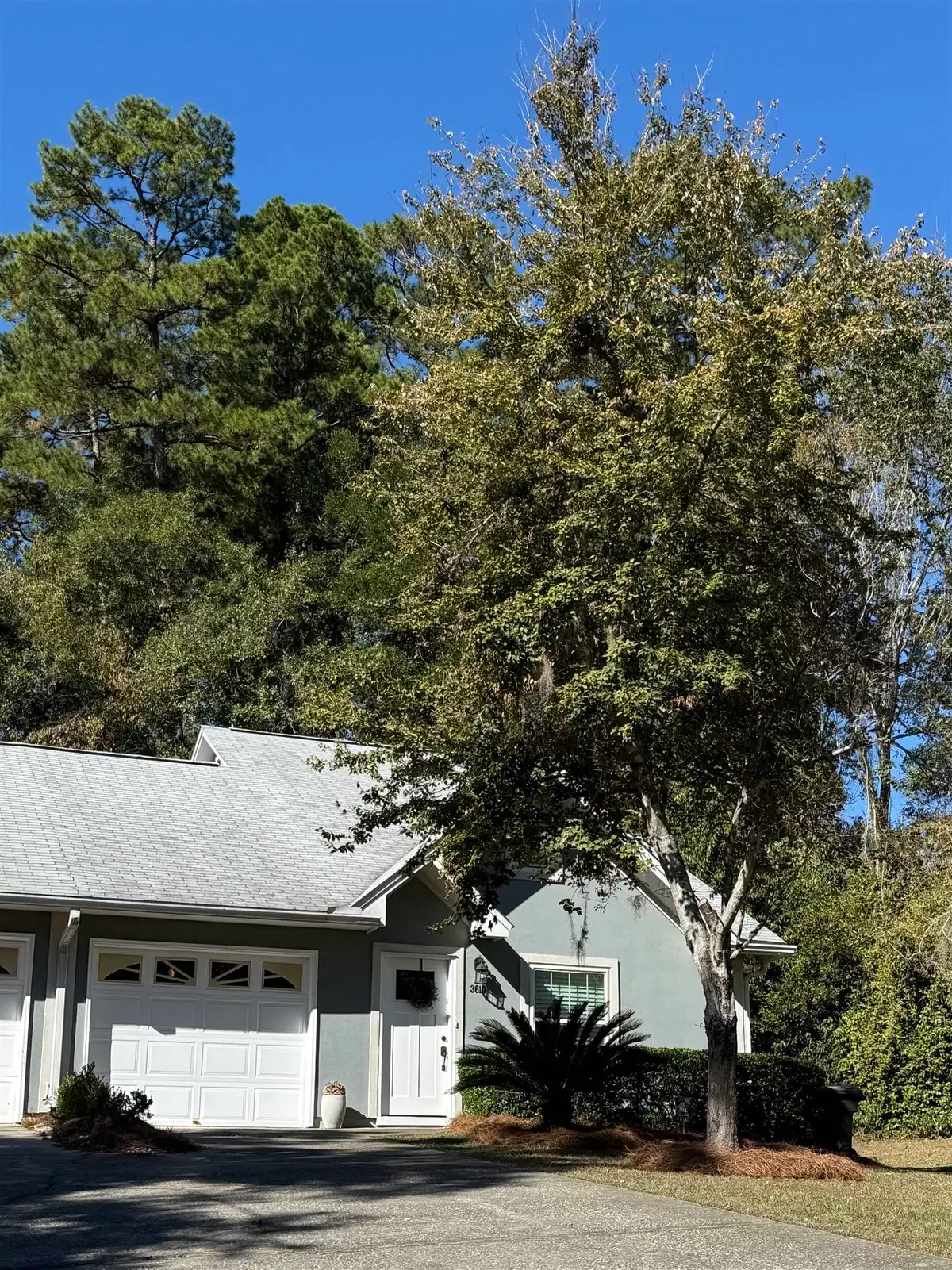 3610 Cagney Drive, Tallahassee, FL 32309 - Image #1