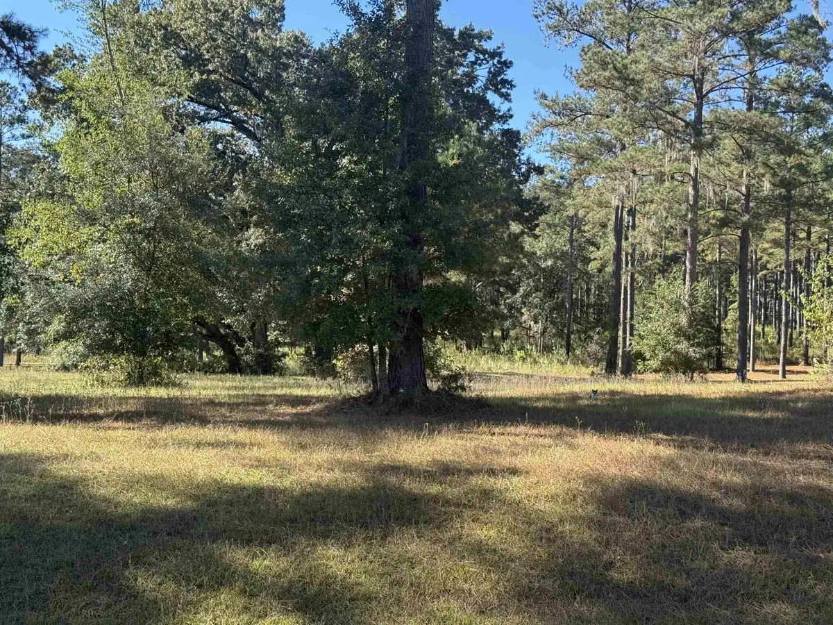 Lot 8A Lake Pisgah Drive, Tallahassee, FL 32309 - Image #1