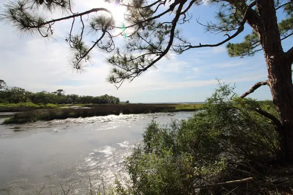 20 George Vause Road, Alligator Point, FL 32346