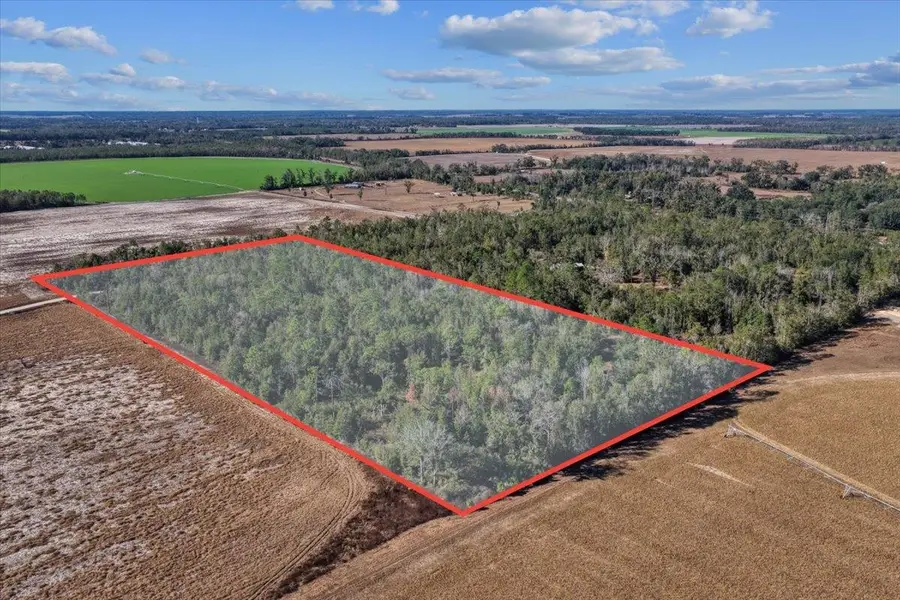 0 SE Camelot Way, Lee, FL 32059 - Image #2