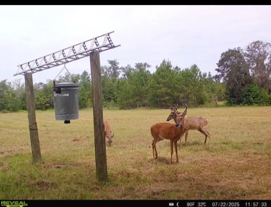 5001 NW Little Cat Road, Madison, FL 32340 - Image #1