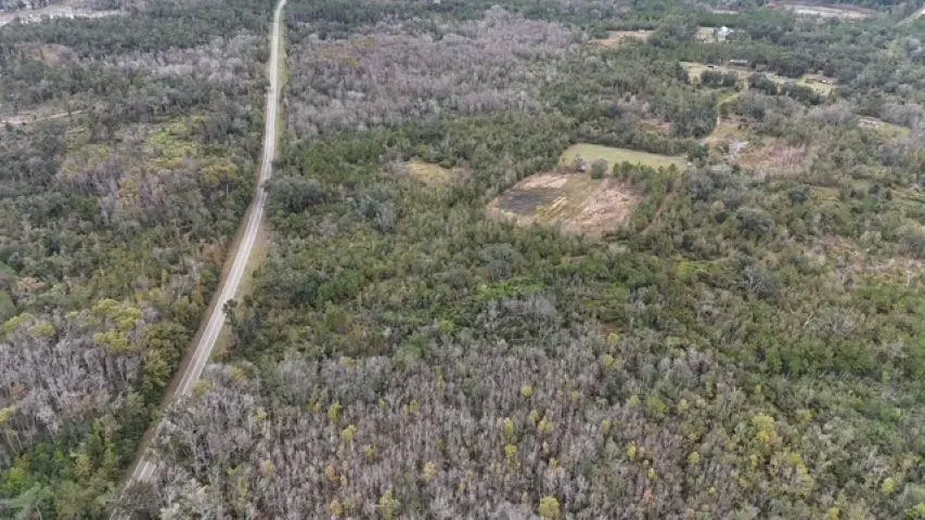 5001 NW Little Cat Road, Madison, FL 32340 - Image #2