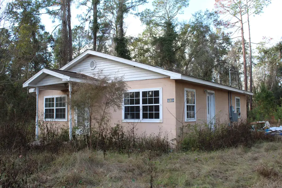 60 S Salt Road, Monticello, FL 32344 - Image #2