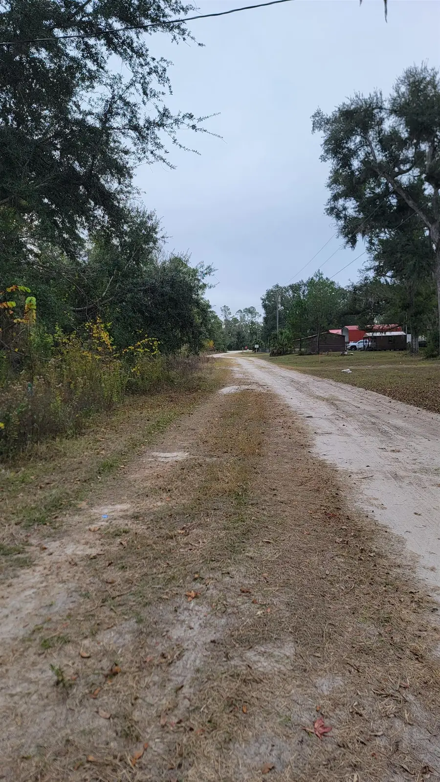 3560 S Woodland Drive, Perry, FL 32348 - Image #3