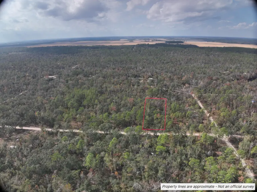 NW 22nd Terrace, Jasper, FL 32052 - Image #2
