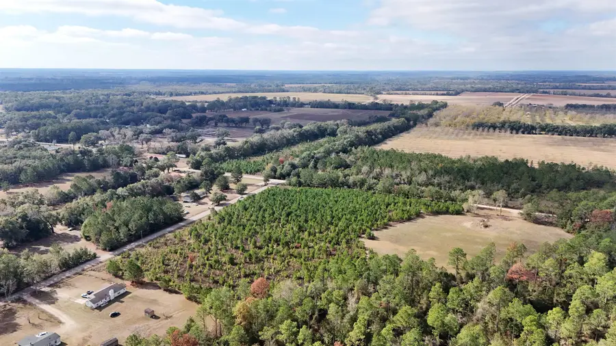 Vacant Cox Road, Quincy, FL 32351 - Image #3