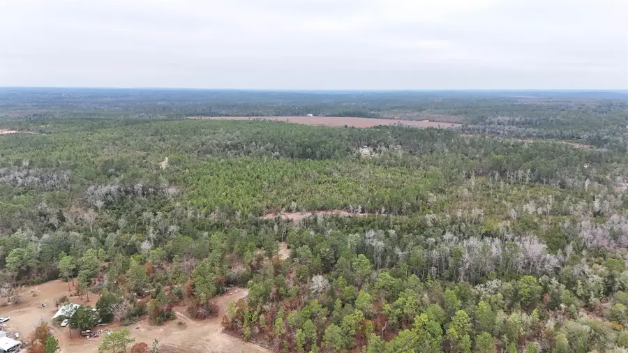 Vacant Joshua Road, Marianna, FL 32448 - Image #3