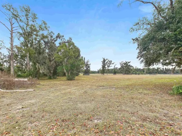 Vacant Forest Circle, Perry, FL 32347