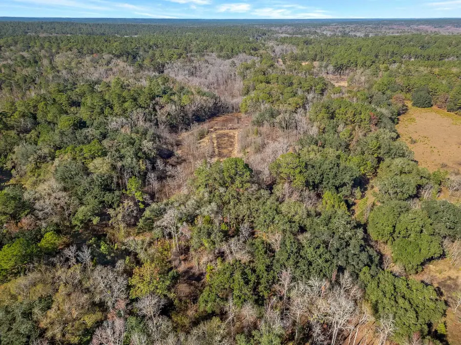XX Gardners Farm Road, Tallahassee, FL 32312 - Image #2