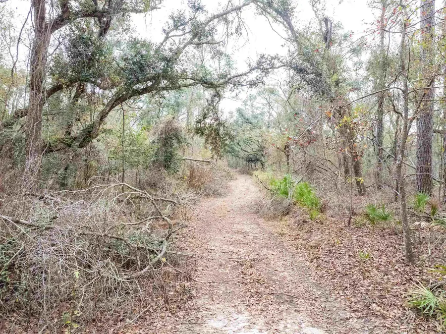 xxx NW 22nd Terrace, Jasper, FL 32052 - Image #3