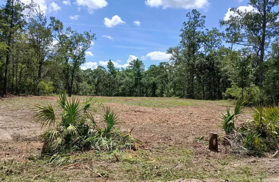 LOT 63 NW 21st Place, Jasper, FL 32052 - Image #2