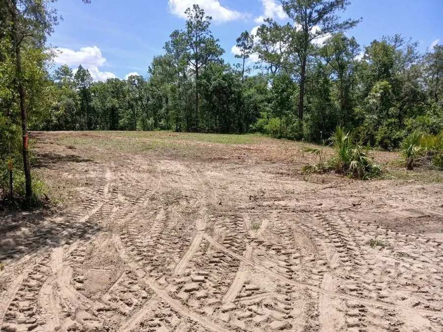 LOT 63 NW 21st Place, Jasper, FL 32052 - Image #3