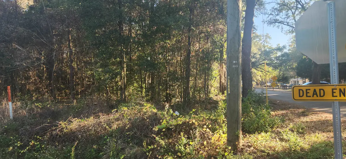 TBD Hutchinson Ferry Road, Quincy, FL 32352 - Image #1