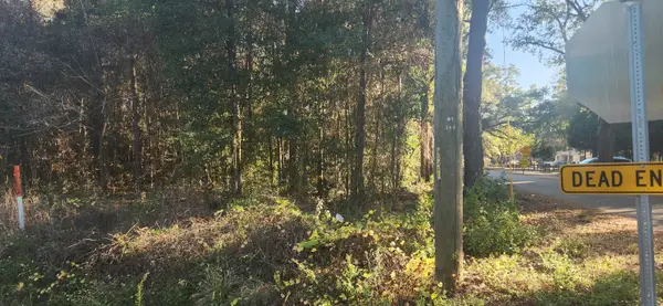 TBD Hutchinson Ferry Road, Quincy, FL 32352