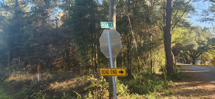 TBD Hutchinson Ferry Road, Quincy, FL 32352 - Image #2