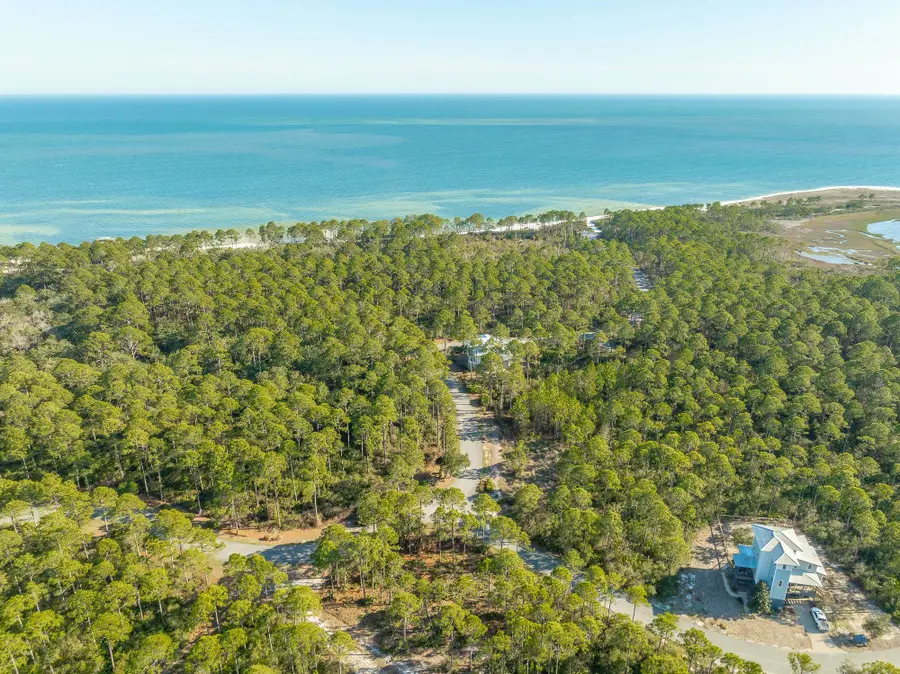 173 Lightining Bug Lane, Saint Teresa, FL 32358 - Image #2