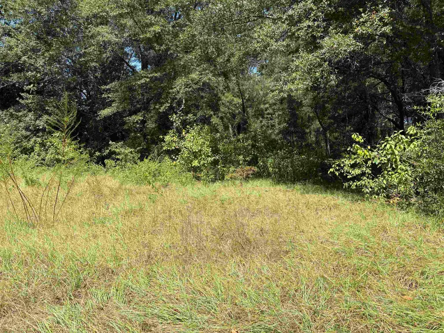 10 Blue Waters Ct, Tallahassee, FL 32305 - Image #2