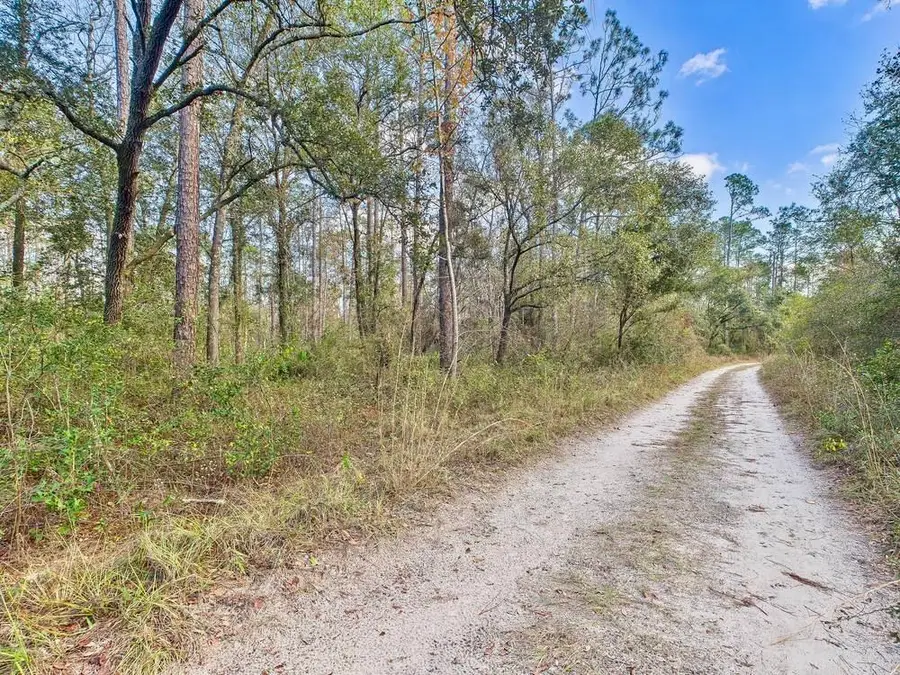 465 NE River Ridge Way, Lee, FL 32059 - Image #2