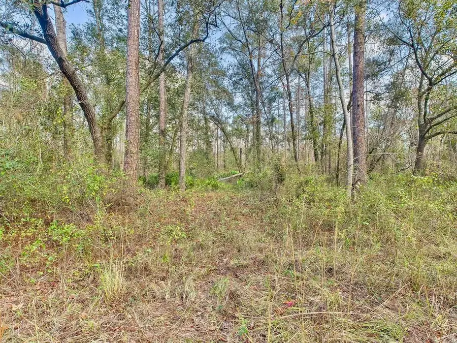 465 NE River Ridge Way, Lee, FL 32059 - Image #3