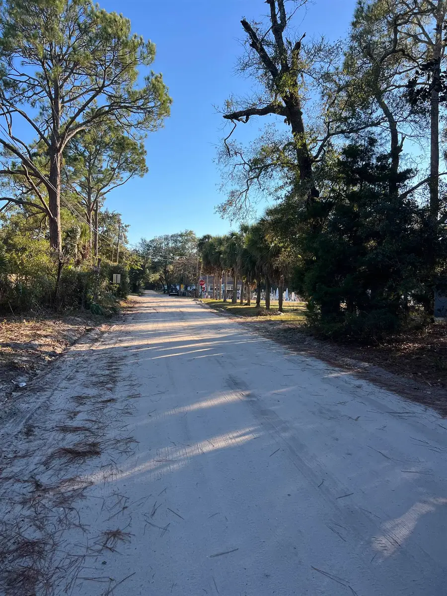 TBD Otter Lake Road, Panacea, FL 32346 - Image #3