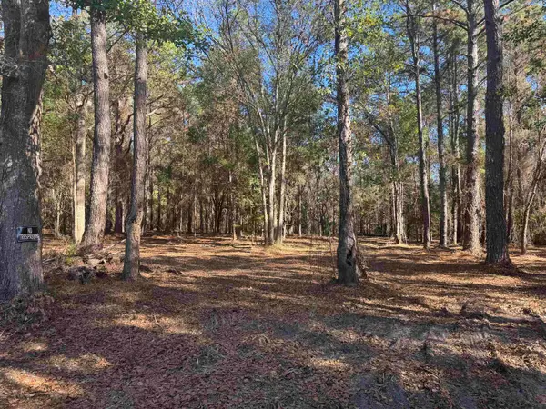 740 Langston Lane, Havana, FL 32333