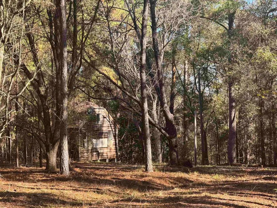 740 Langston Lane, Havana, FL 32333 - Image #2