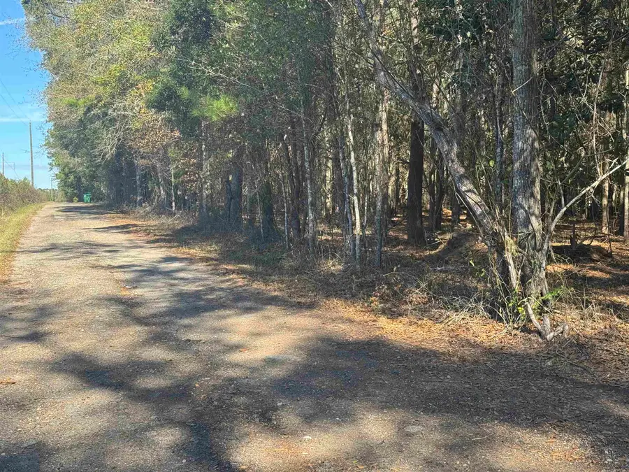 740 Langston Lane, Havana, FL 32333 - Image #3