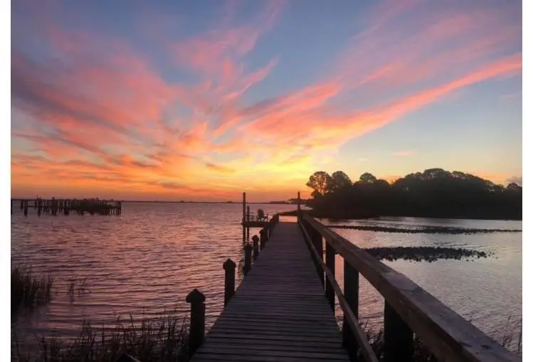 11 Sandpiper Drive, Panacea, FL 32346 - Image #3