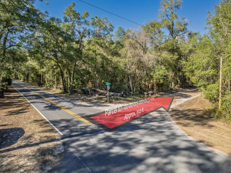 XX Dr Mlk Jr Memorial Road, Crawfordville, FL 32327 - Image #2
