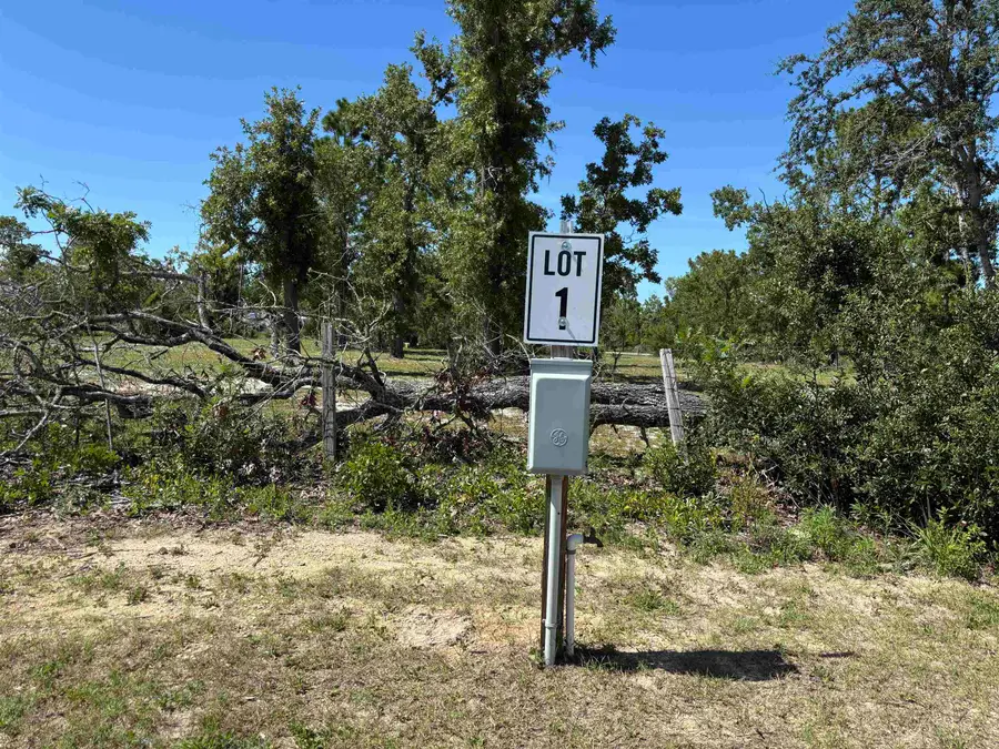 2745 Sea Oaks Loop, Perry, FL 32348 - Image #3