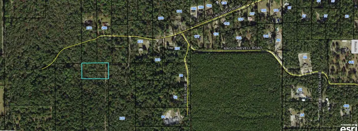 0000 Luke Smith Road, Crawfordville, FL 32327 - Image #1