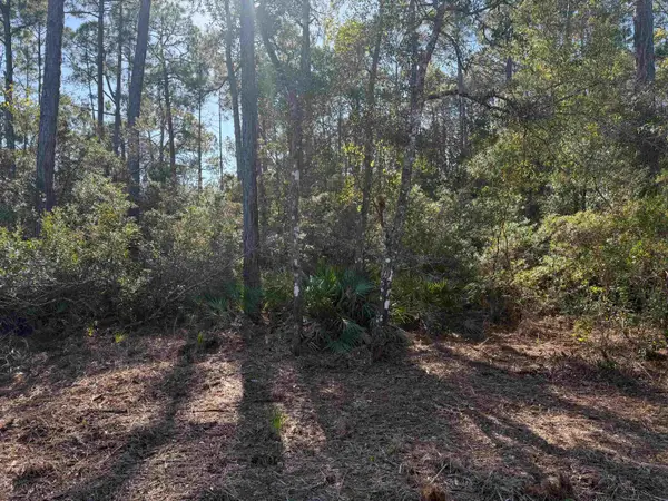 xx Normans Way, Panacea, FL 32346