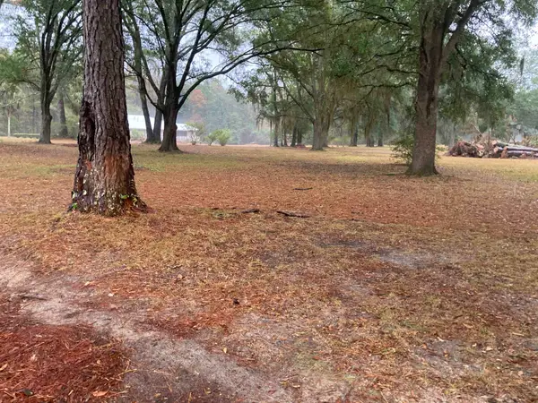 276 E Blue Bird Road, Monticello, FL 32344