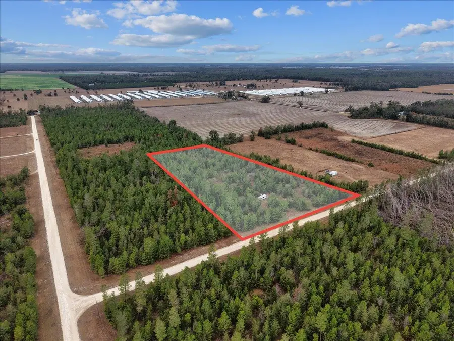 Vacant NE Lily Avenue, Lee, FL 32059 - Image #2