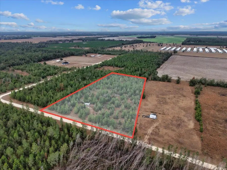 Vacant NE Lily Avenue, Lee, FL 32059 - Image #3