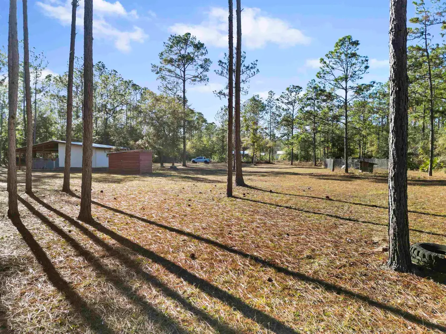 13563 SW Forest Road 141, Bristol, FL 32321 - Image #3