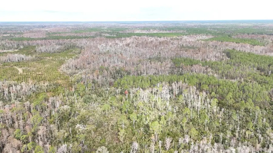 0 Airport Grade Road, Perry, FL 32348 - Image #2