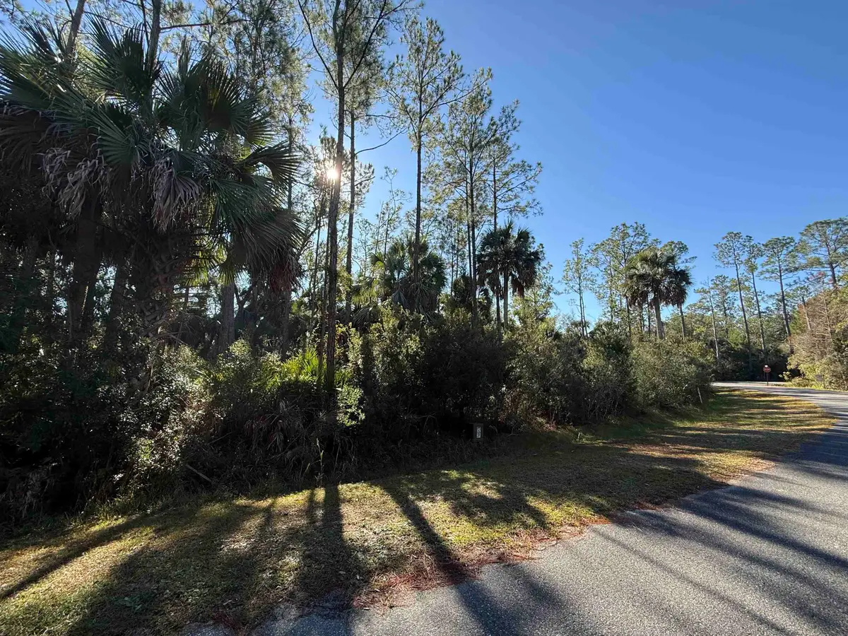 XXX Hobbs Way, Saint Marks, FL 32355 - Image #1