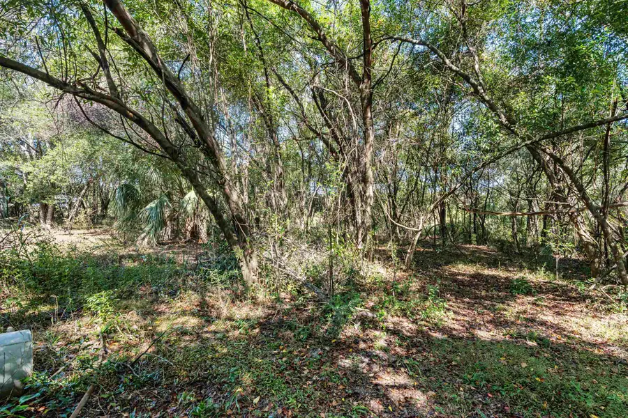 1269 Spring Creek Highway, Crawfordville, FL 32327 - #3