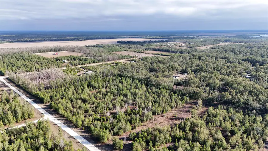 Vacant NE River Trace Trail, Lee, FL 32059 - Image #3