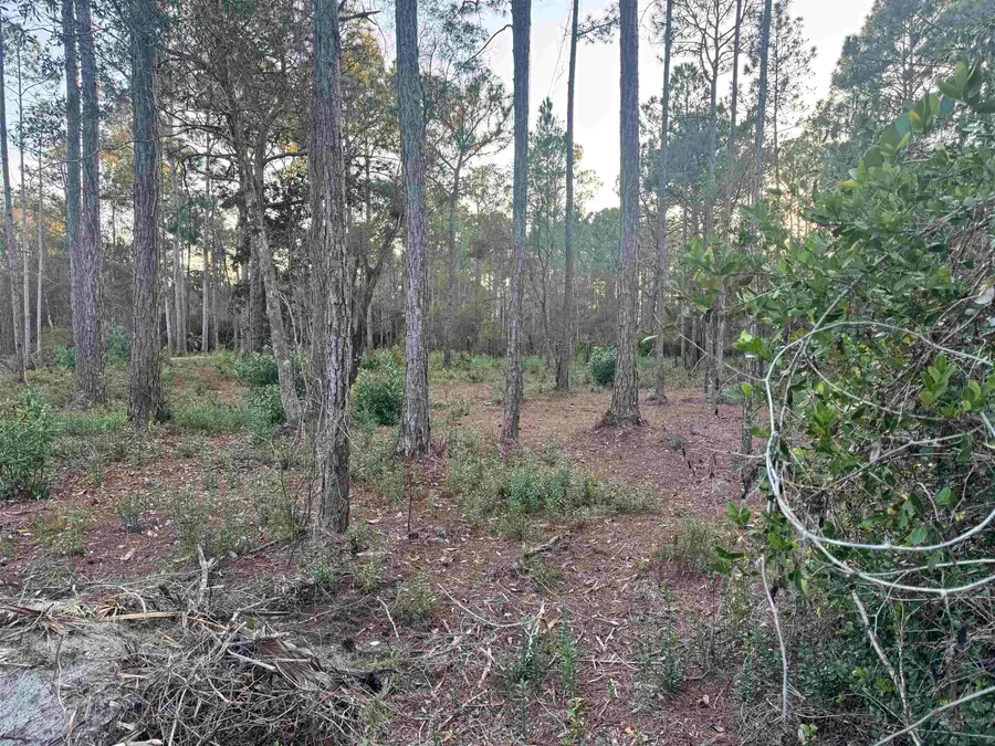 XXX No Address Street, Carrabelle, FL 32323 - Image #2