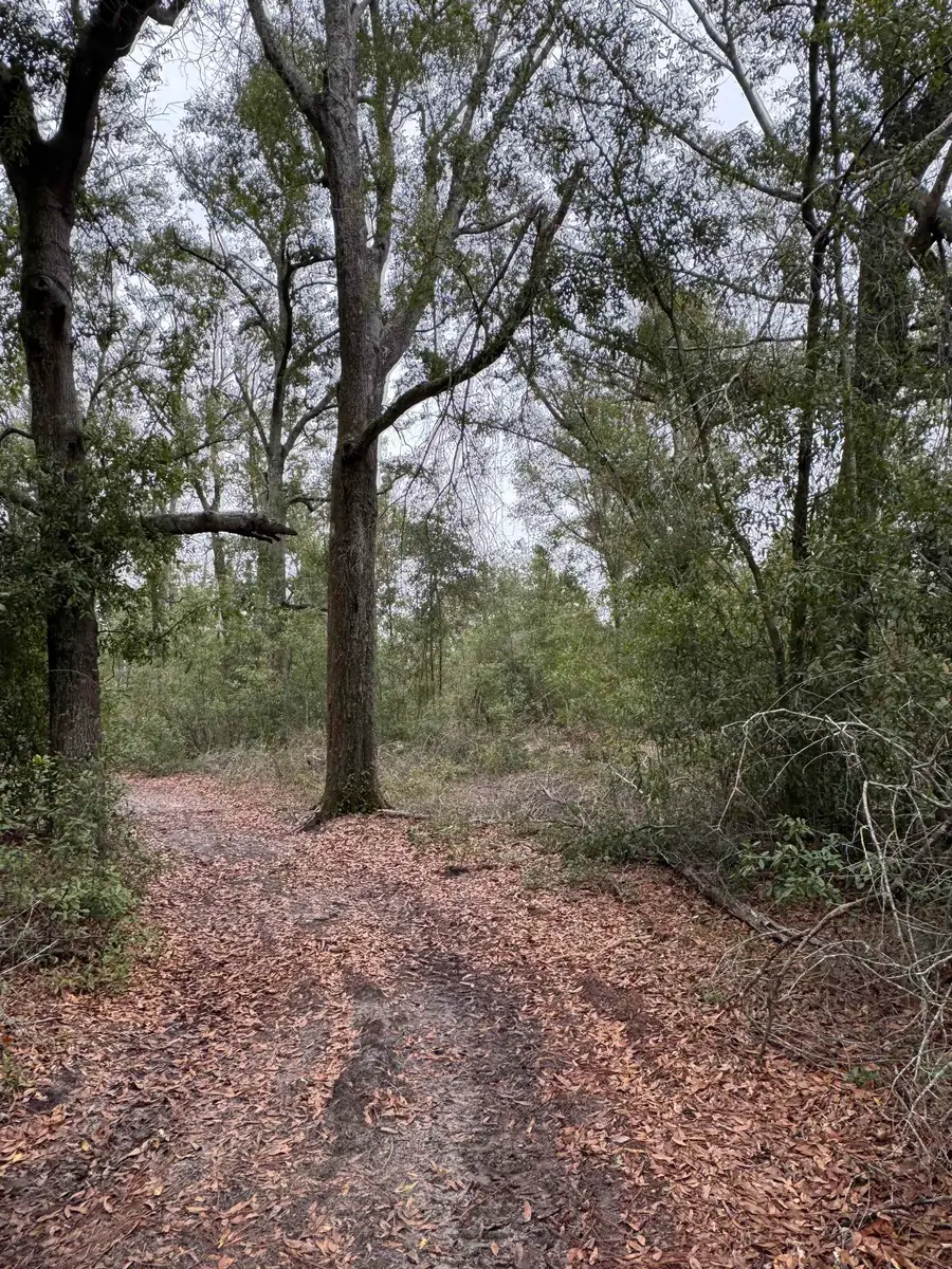 Parcel 6 E Us 90 Highway, Lee, FL 32059 - Image #2