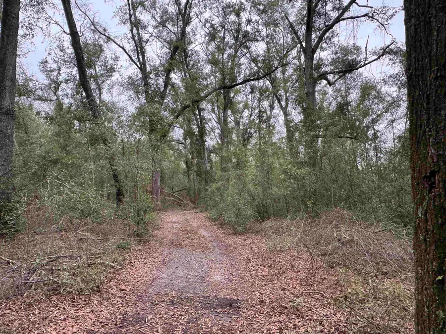 Parcel 1 E Us 90 Highway, Lee, FL 32059 - Image #2