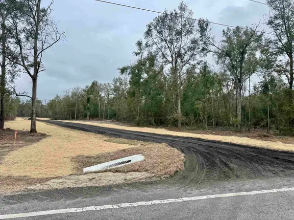 Parcel 5 E Us 90 Highway, Lee, FL 32059