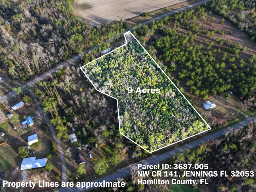 TBD NW 141 Cr, Jennings, FL 32053 - #2