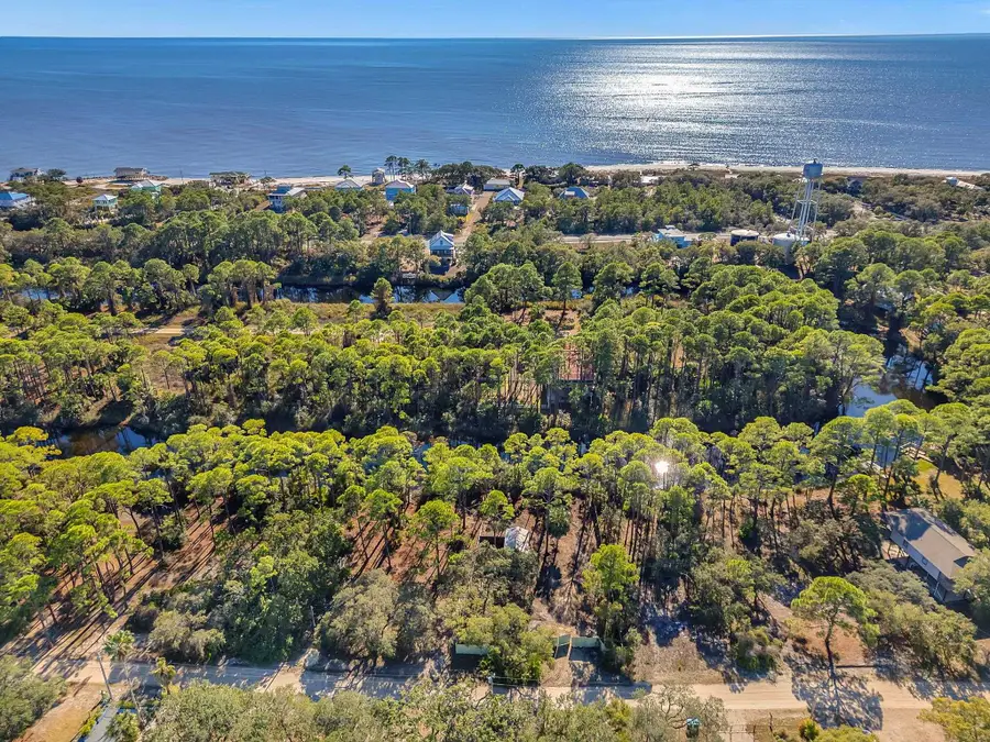 202 Harbor Circle, Alligator Point, FL 32346 - Image #3