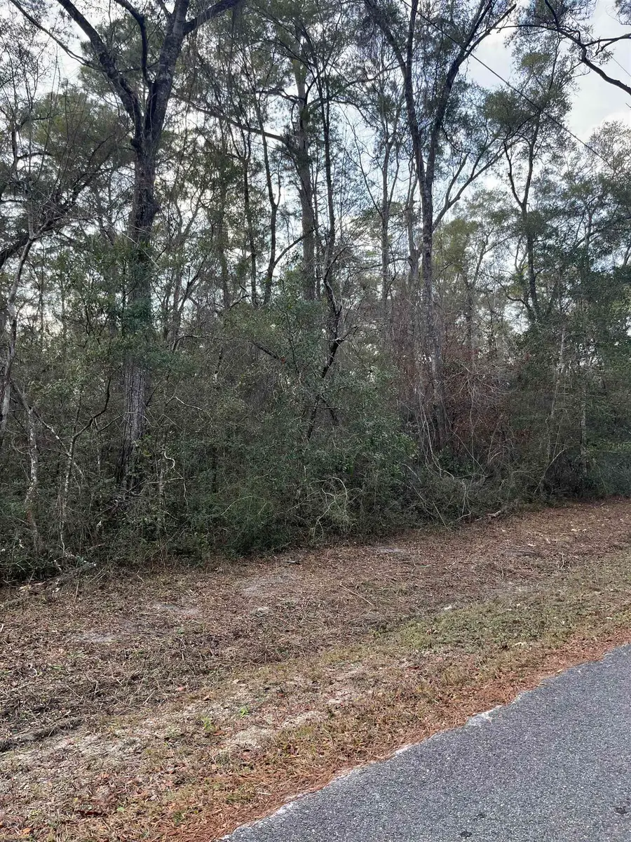 xx White Oak Drive, Crawfordville, FL 32327 - Image #3