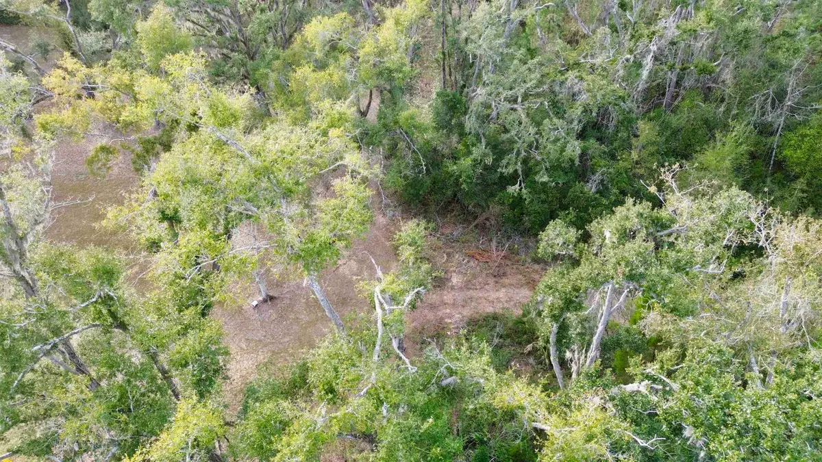 Vacant A Young Road, Perry, FL 32347 - Image #1