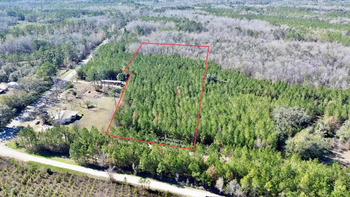 200 Samantha's Lane, Monticello, FL 32344 - Image #1