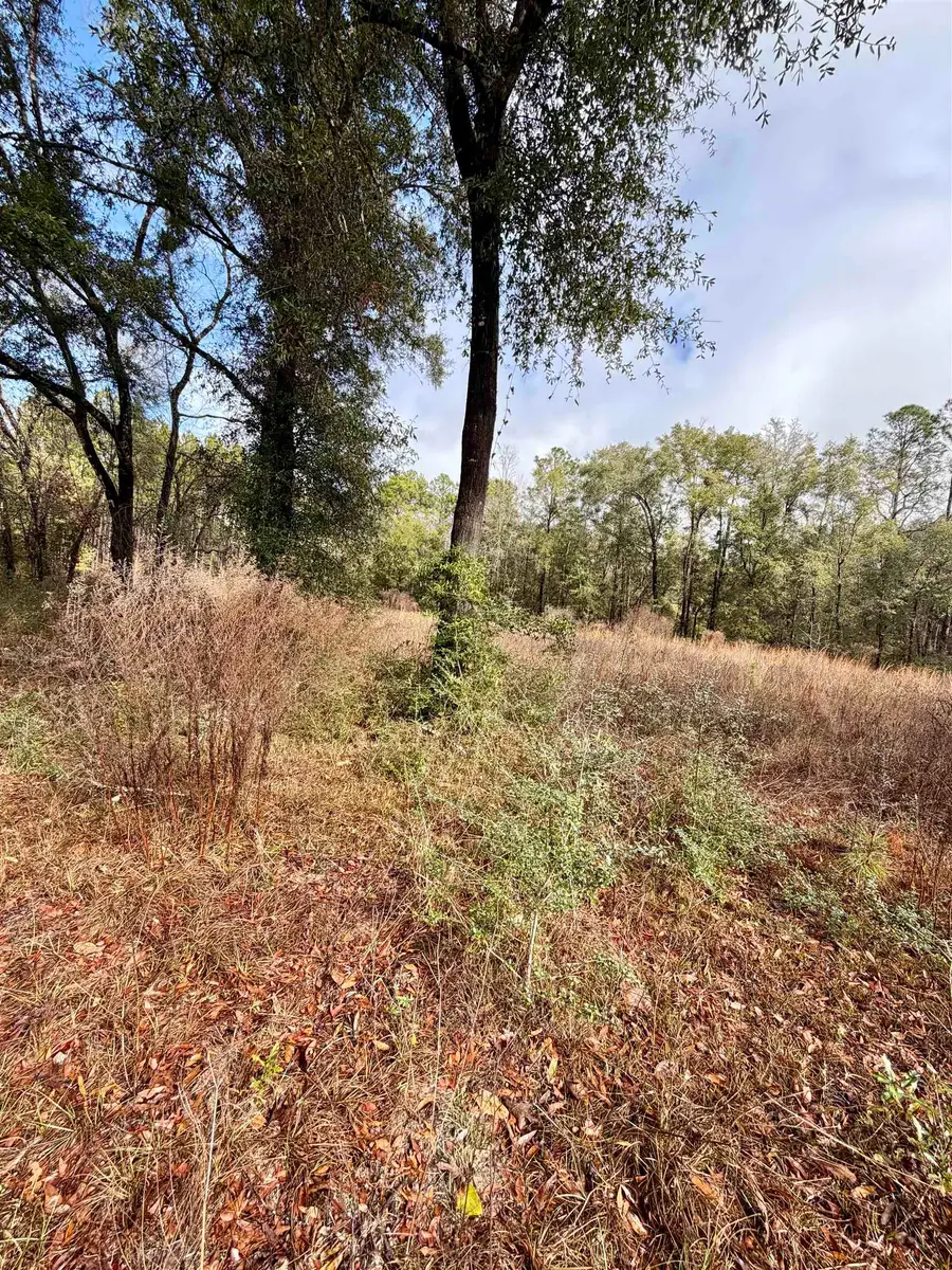 XX East Ivan Road, Crawfordville, FL 32327 - Image #2